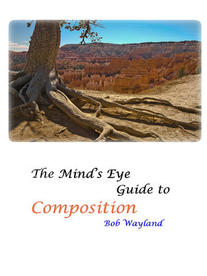 cover image of The Mind's Eye Guide to Composition: Book One: Psychology of Composition or Painless Photographic Compositions